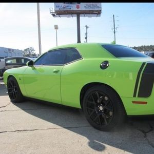 Meet your Posher, Dawson